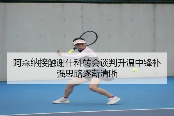 阿森纳接触谢什科转会谈判升温中锋补强思路逐渐清晰 - kaiyun